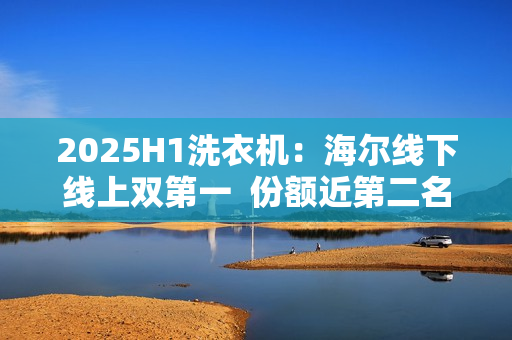 2025H1洗衣机：海尔线下线上双第一  份额近第二名两倍