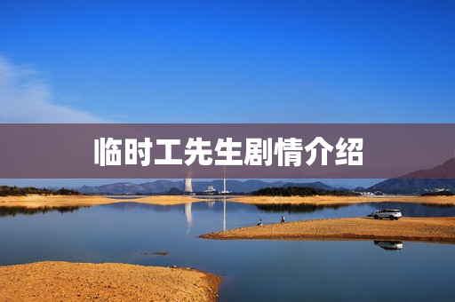 临时工先生剧情介绍