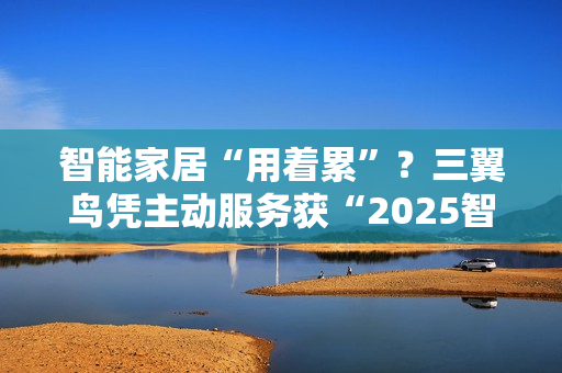 智能家居“用着累”?三翼鸟凭主动服务获“2025智能家居品牌领航者奖” 智能家居“用着累”?三翼鸟凭主动服务获“2025智能家居品牌领航者奖”