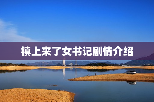 镇上来了女书记剧情介绍