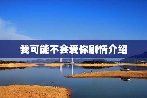 我可能不会爱你剧情介绍