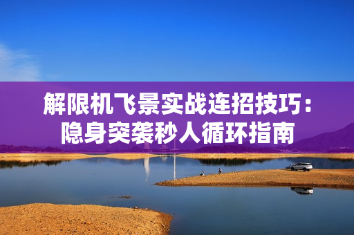 解限机飞景实战连招技巧：隐身突袭秒人循环指南