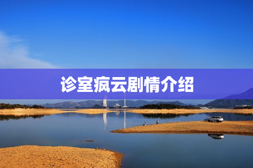 诊室疯云剧情介绍