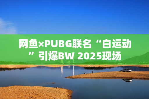 网鱼×PUBG联名“白运动”引爆BW 2025现场