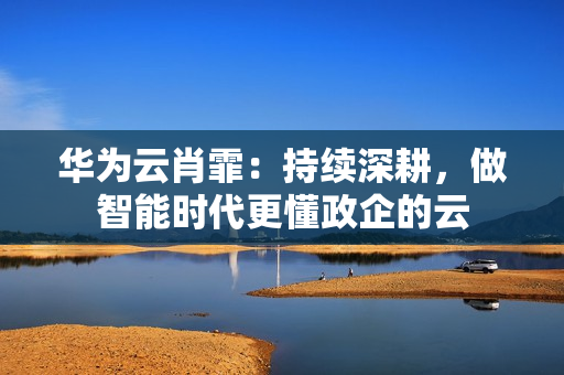 华为云肖霏：持续深耕，做智能时代更懂政企的云