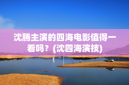沈腾主演的四海电影值得一看吗？(沈四海演技)
