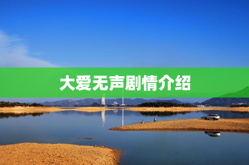 大爱无声剧情介绍