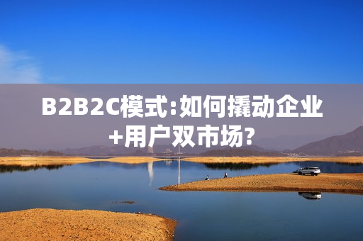 B2B2C模式:如何撬动企业+用户双市场?