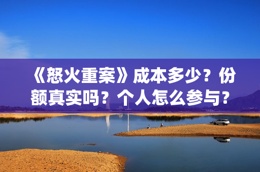 《怒火重案》成本多少？份额真实吗？个人怎么参与？(怒火重案的含义)