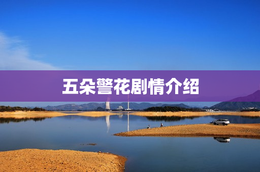 五朵警花剧情介绍
