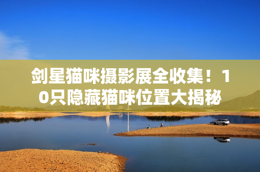 剑星猫咪摄影展全收集！10只隐藏猫咪位置大揭秘