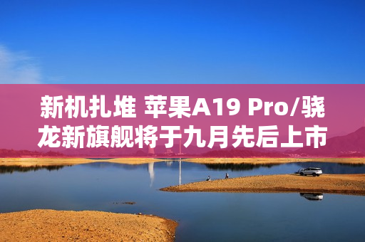 新机扎堆 苹果A19 Pro/骁龙新旗舰将于九月先后上市