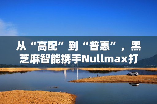 从“高配”到“普惠”，黑芝麻智能携手Nullmax打造辅助驾驶主流量产方案