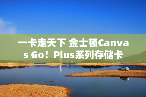 一卡走天下 金士顿Canvas Go！Plus系列存储卡