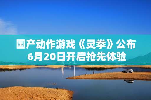 国产动作游戏《灵拳》公布 6月20日开启抢先体验