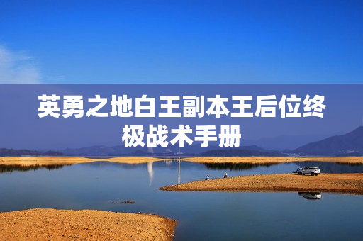英勇之地白王副本王后位终极战术手册
