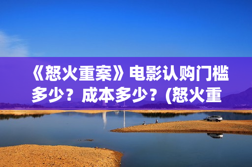 《怒火重案》电影认购门槛多少？成本多少？(怒火重案 完整版)