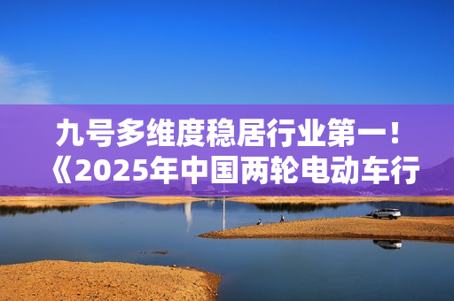 九号多维度稳居行业第一！《2025年中国两轮电动车行业研究报告》权威发布