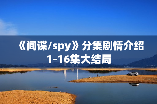 《间谍/spy》分集剧情介绍1-16集大结局