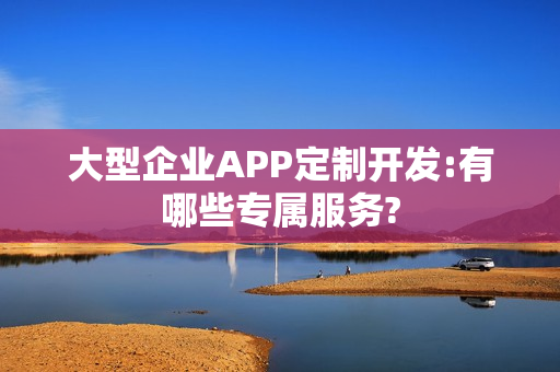 大型企业APP定制开发:有哪些专属服务?