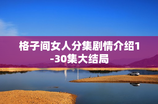 格子间女人分集剧情介绍1-30集大结局