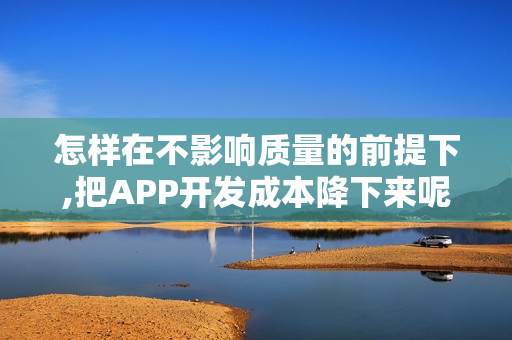 怎样在不影响质量的前提下,把APP开发成本降下来呢?