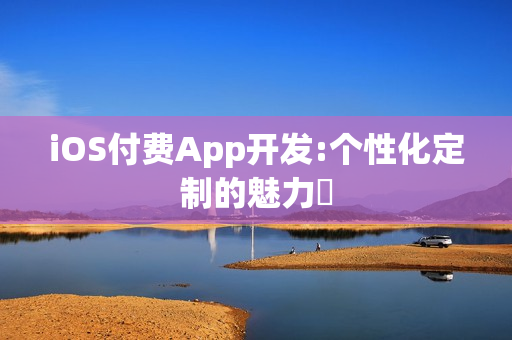 iOS付费App开发:个性化定制的魅力‌