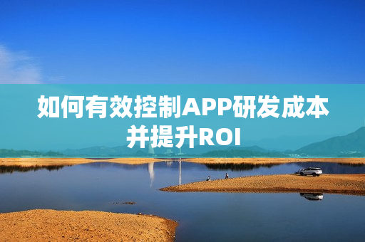 如何有效控制APP研发成本并提升ROI