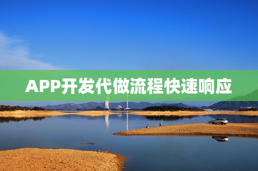 APP开发代做流程快速响应
