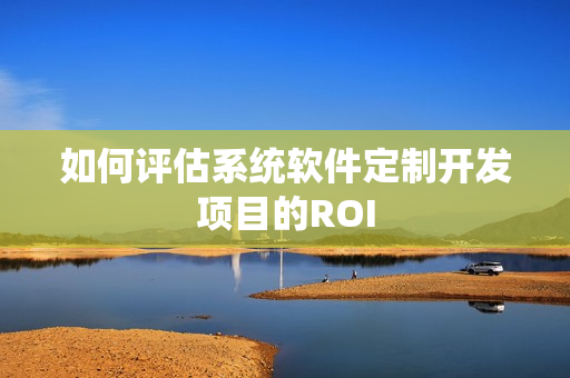 如何评估系统软件定制开发项目的ROI