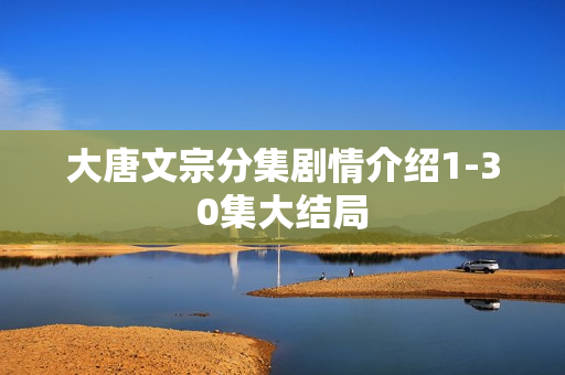 大唐文宗分集剧情介绍1-30集大结局