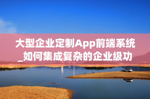 大型企业定制App前端系统_如何集成复杂的企业级功能