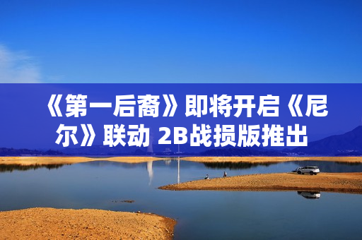 《第一后裔》即将开启《尼尔》联动 2B战损版推出