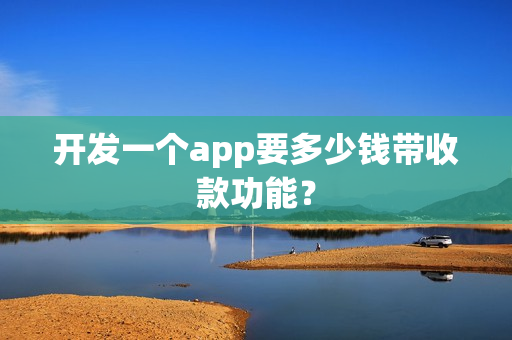 开发一个app要多少钱带收款功能？