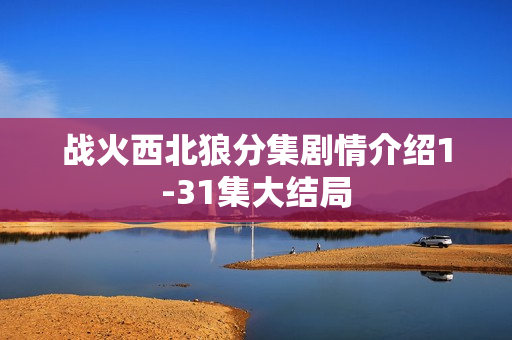 战火西北狼分集剧情介绍1-31集大结局
