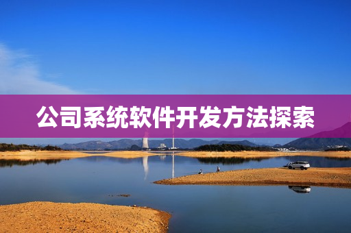 公司系统软件开发方法探索