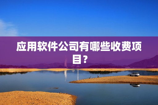 应用软件公司有哪些收费项目？
