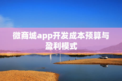微商城app开发成本预算与盈利模式