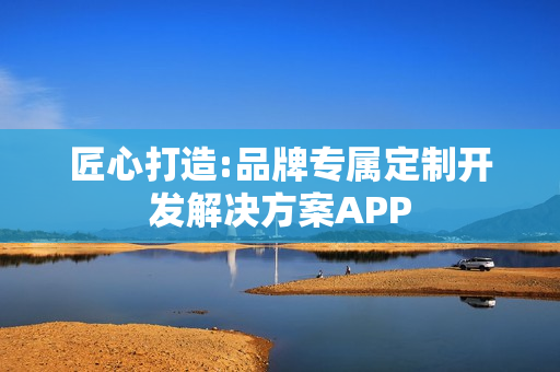 匠心打造:品牌专属定制开发解决方案APP