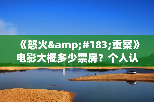 《怒火·重案》电影大概多少票房？个人认购有哪些风险？(怒火·重案主演)