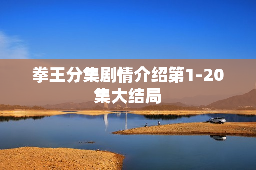 拳王分集剧情介绍第1-20集大结局