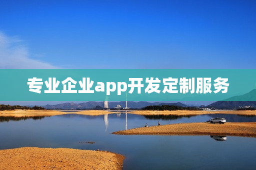 专业企业app开发定制服务