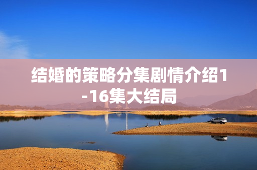 结婚的策略分集剧情介绍1-16集大结局