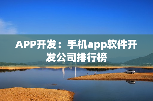 APP开发：手机app软件开发公司排行榜