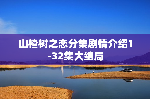 山楂树之恋分集剧情介绍1-32集大结局