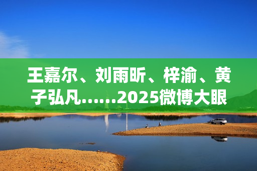 王嘉尔、刘雨昕、梓渝、黄子弘凡……2025微博大眼音乐节火热售票中！ (刘雨昕新歌王嘉尔)