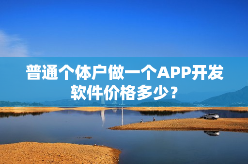 普通个体户做一个APP开发软件价格多少？