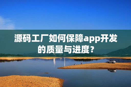 源码工厂如何保障app开发的质量与进度？