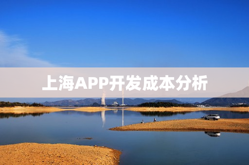 上海APP开发成本分析