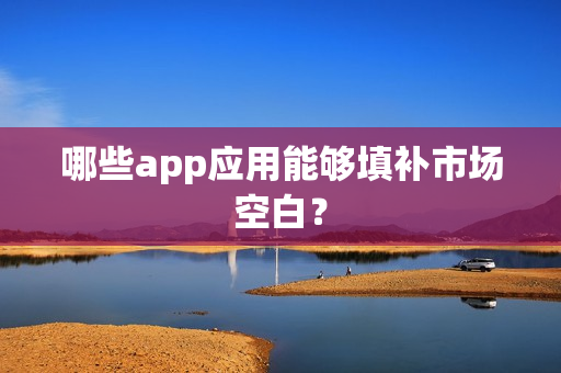 哪些app应用能够填补市场空白？